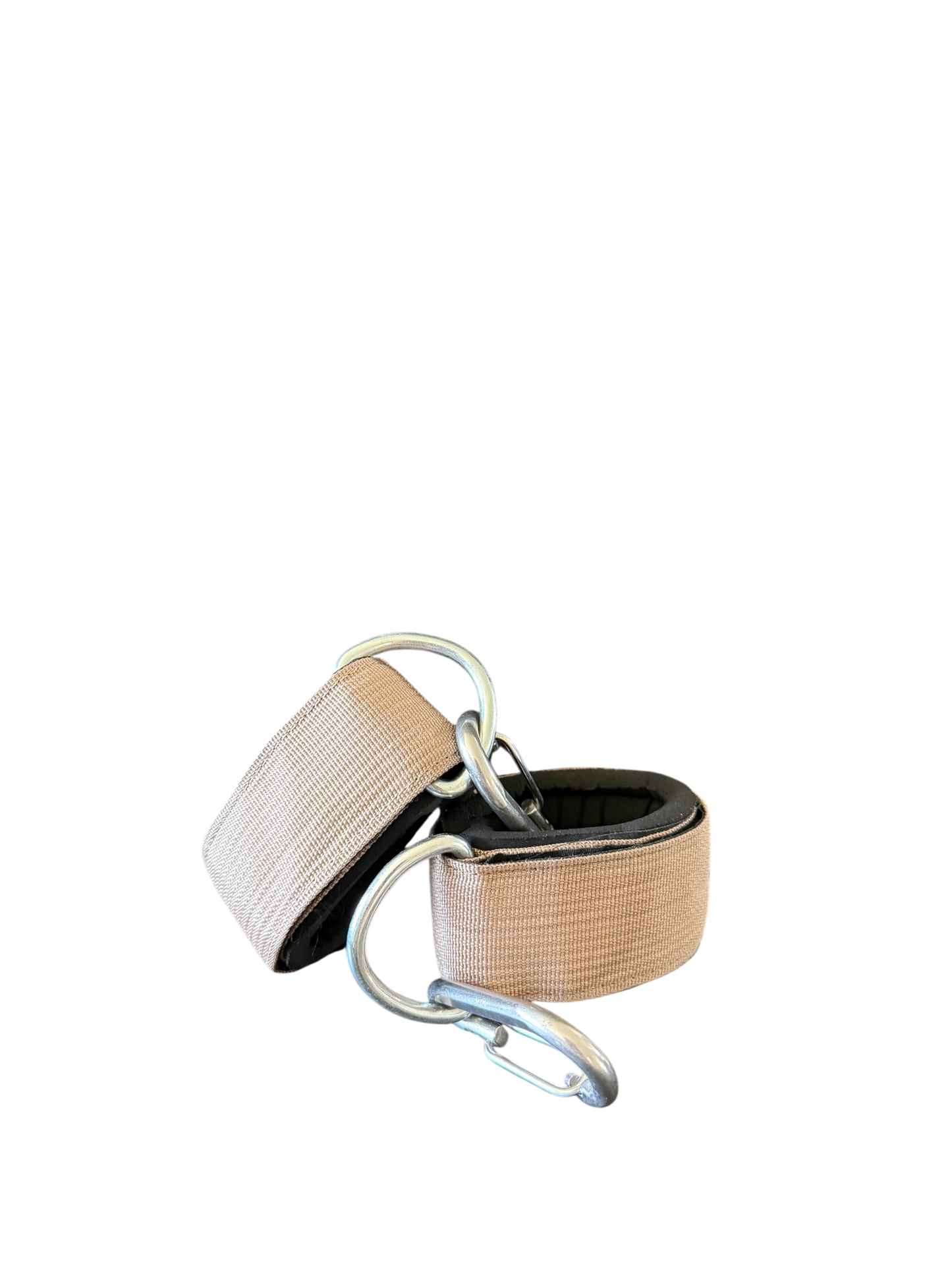 Reptech Bundle