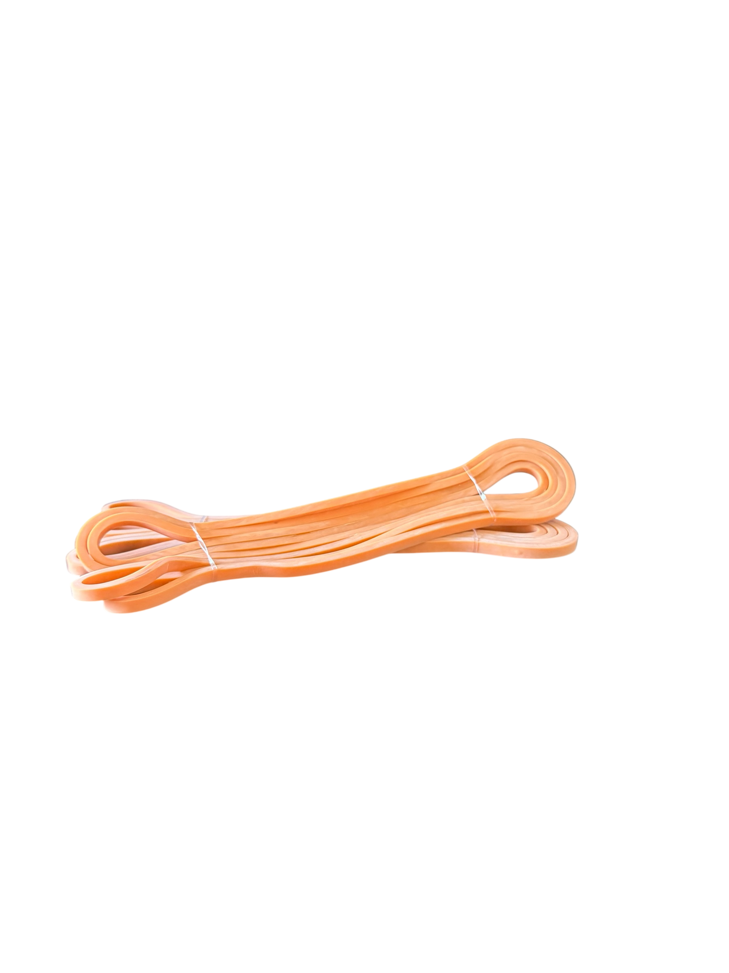 Reptech Bundle