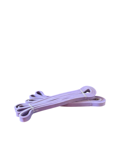 Reptech Bundle